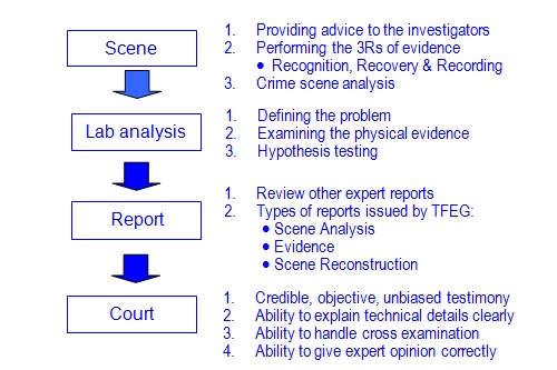 forensic process